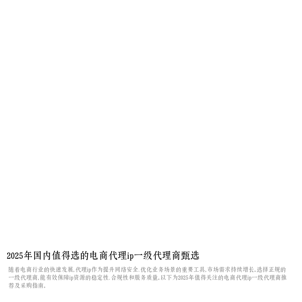 2025年国内值得选的电商代理ip一级代理商甄选