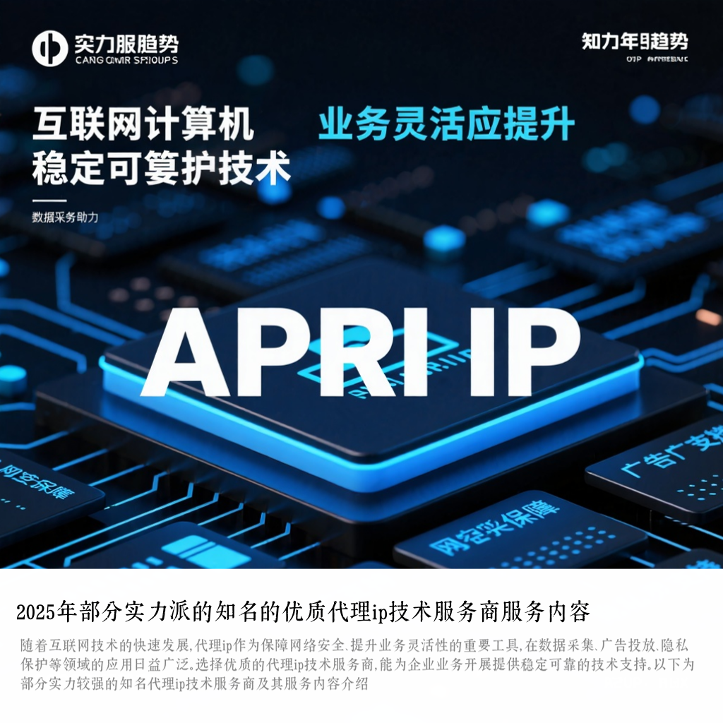 2025年部分实力派的知名的优质代理ip技术服务商服务内容