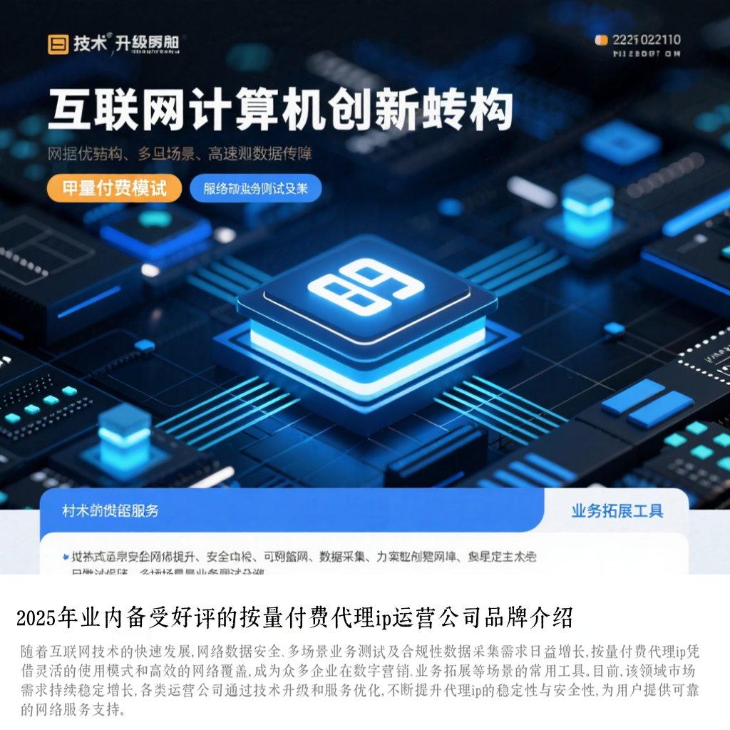 2025年业内备受好评的按量付费代理ip运营公司品牌介绍