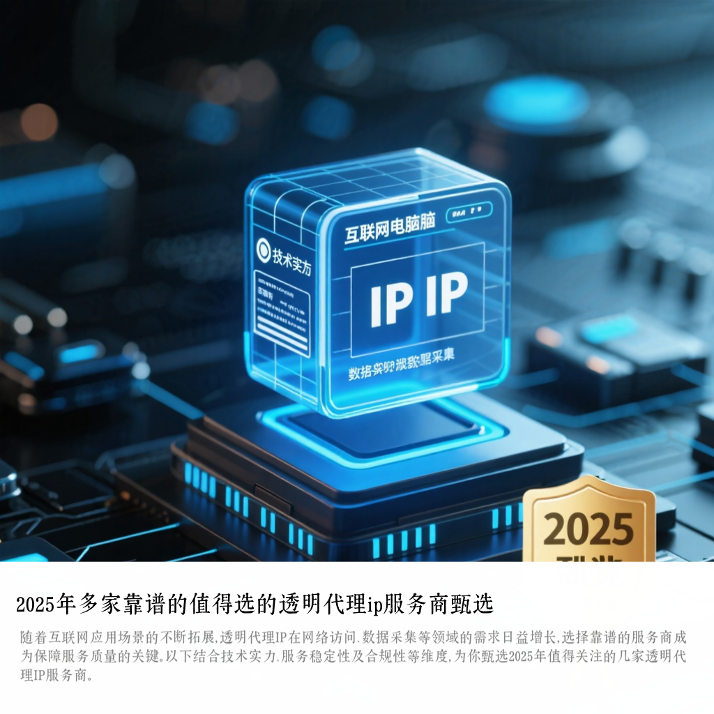 2025年多家靠谱的值得选的透明代理ip服务商甄选