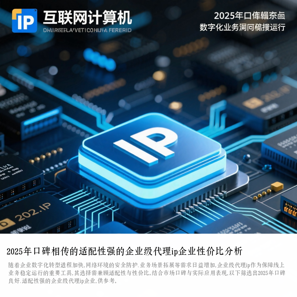 2025年口碑相传的适配性强的企业级代理ip企业性价比分析