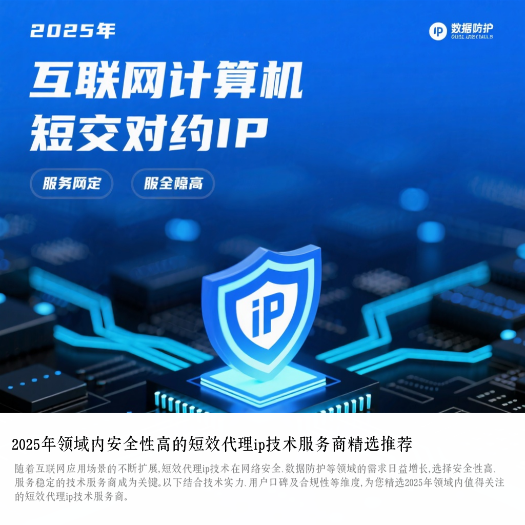 2025年领域内安全性高的短效代理ip技术服务商精选推荐