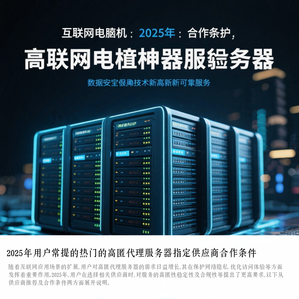 2025年用户常提的热门的高匿代理服务器指定供应商合作条件