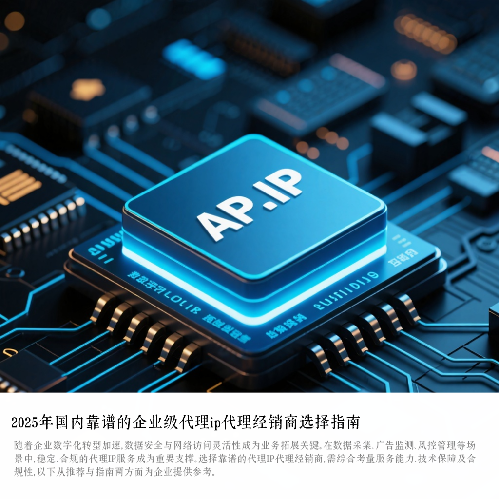 2025年国内靠谱的企业级代理ip代理经销商选择指南
