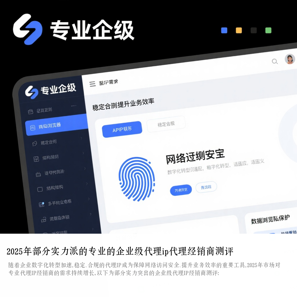 2025年部分实力派的专业的企业级代理ip代理经销商测评