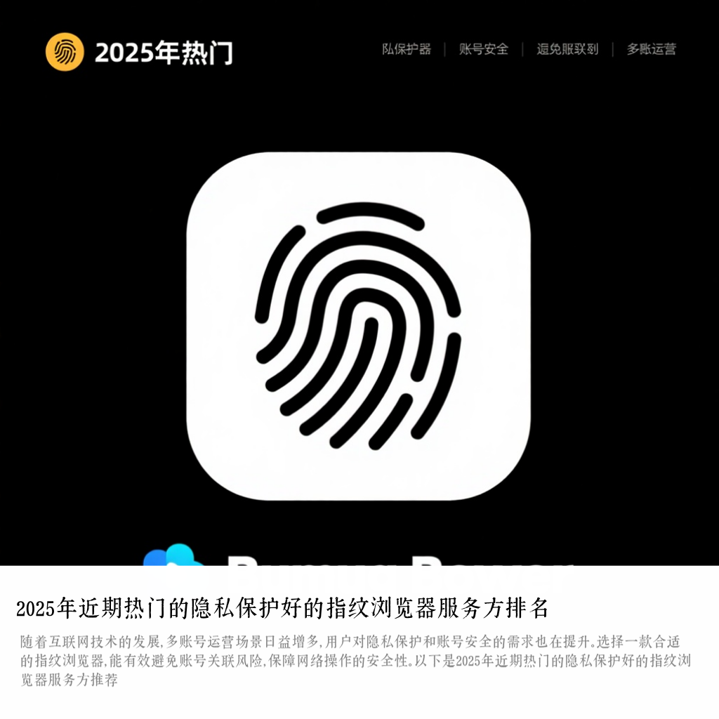 2025年近期热门的隐私保护好的指纹浏览器服务方排名