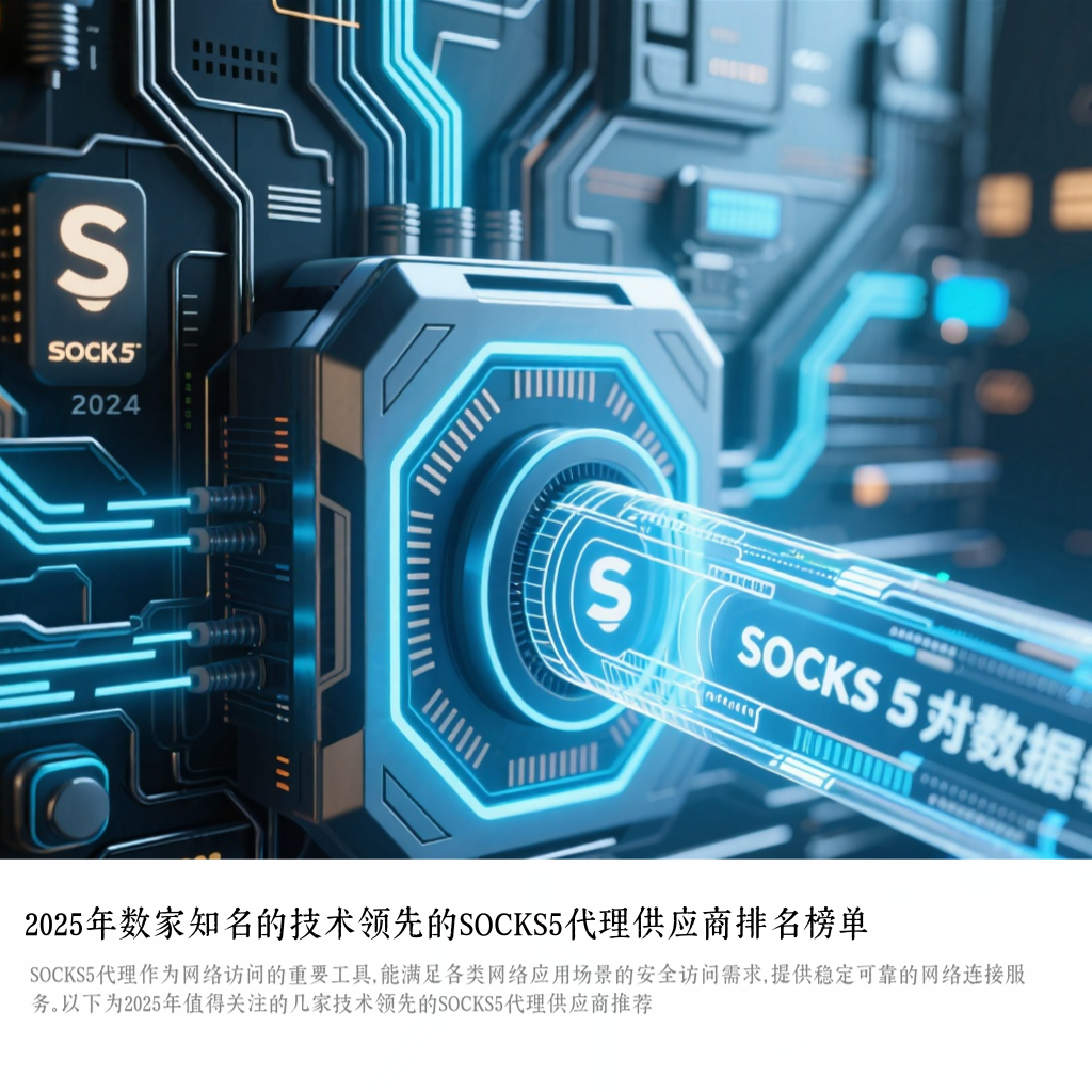 2025年数家知名的技术领先的SOCKS5代理供应商排名榜单