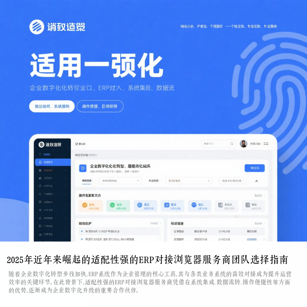 2025年近年来崛起的适配性强的ERP对接浏览器服务商团队选择指南