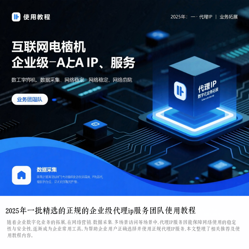 2025年一批精选的正规的企业级代理ip服务团队使用教程