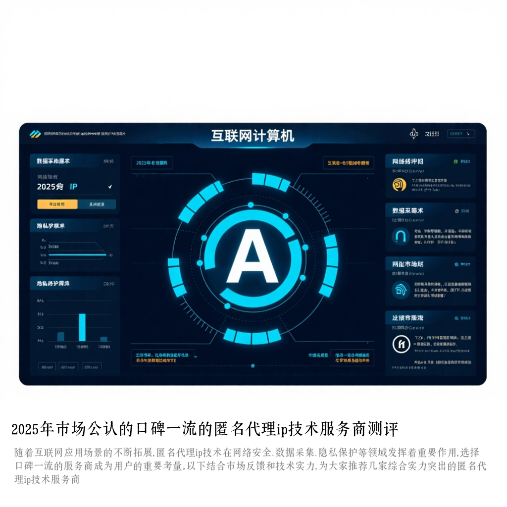 2025年市场公认的口碑一流的匿名代理ip技术服务商测评