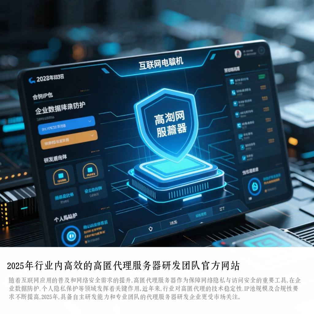 2025年行业内高效的高匿代理服务器研发团队官方网站