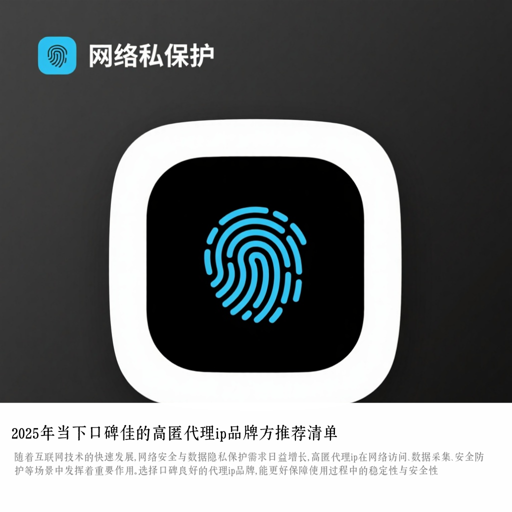 2025年当下口碑佳的高匿代理ip品牌方推荐清单