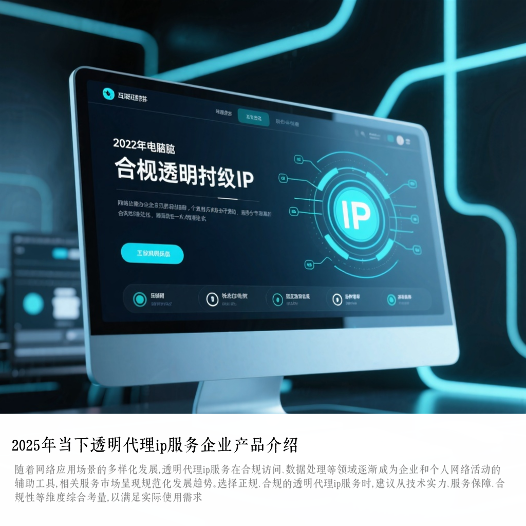 2025年当下透明代理ip服务企业产品介绍