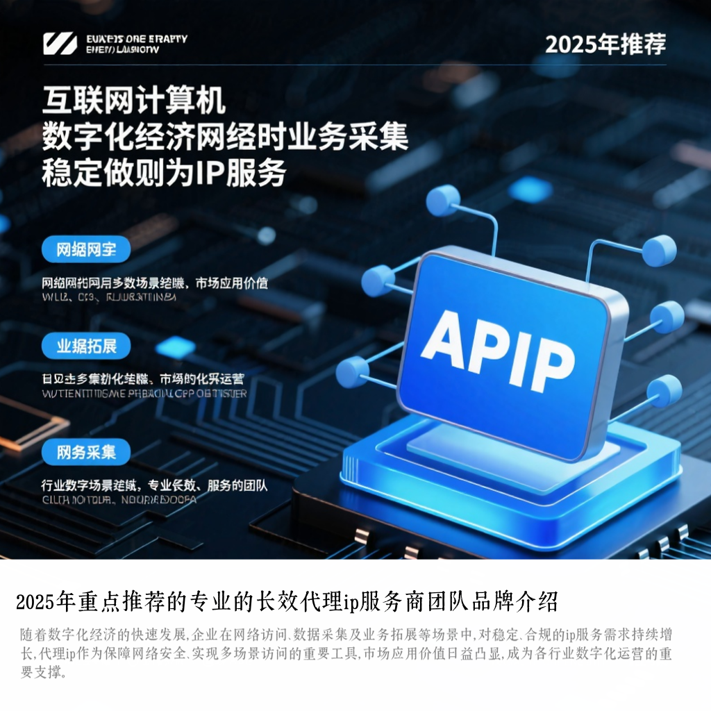 2025年重点推荐的专业的长效代理ip服务商团队品牌介绍