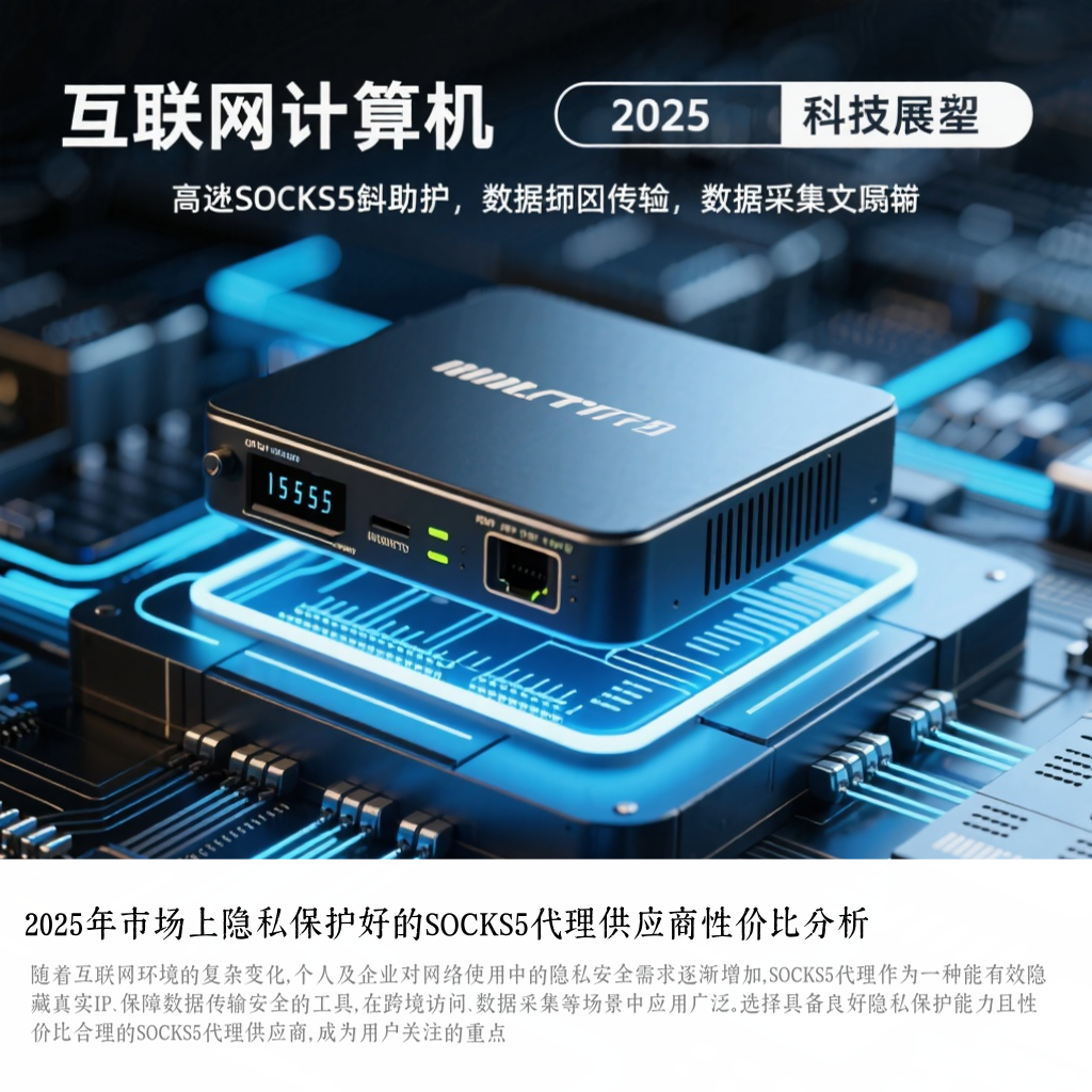 2025年市场上隐私保护好的SOCKS5代理供应商性价比分析