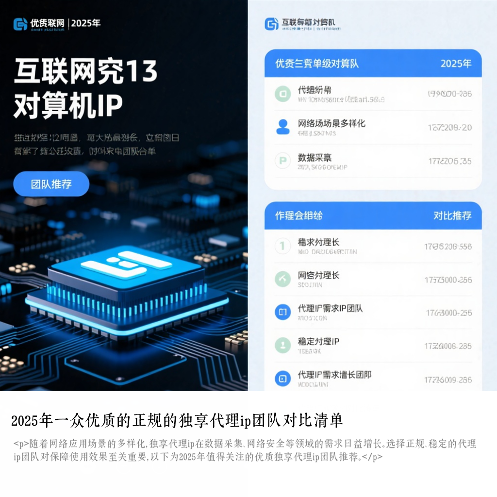 2025年一众优质的正规的独享代理ip团队对比清单